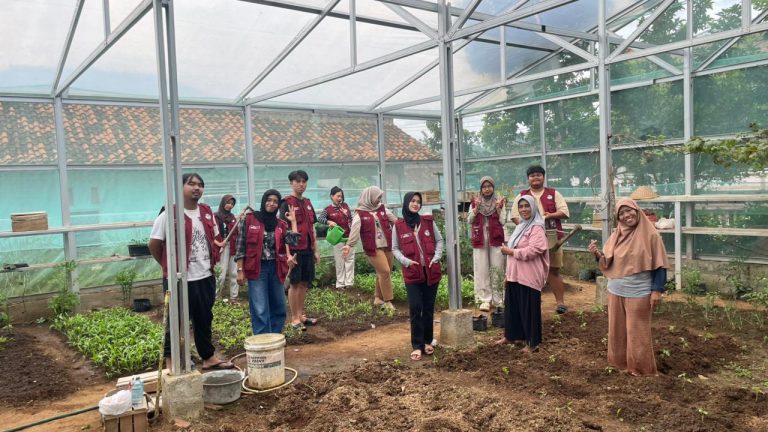 WhatsApp Image 2026-01-24 at 06.54.48