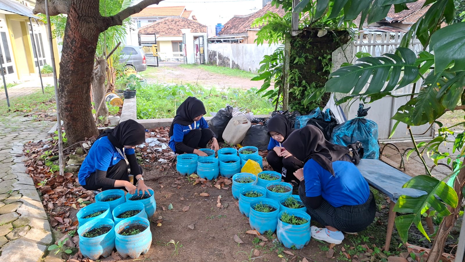 WhatsApp Image 2026-01-24 at 07.33.27