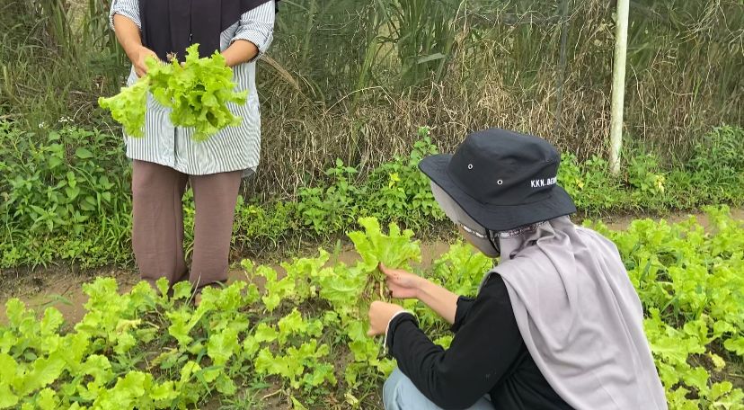 WhatsApp Image 2026-01-24 at 20.02.05