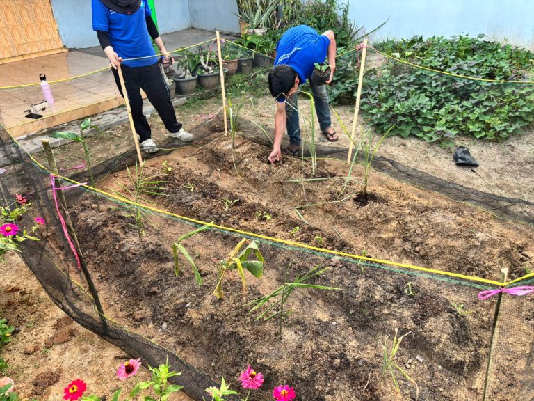 WhatsApp Image 2026-01-24 at 20.16.50