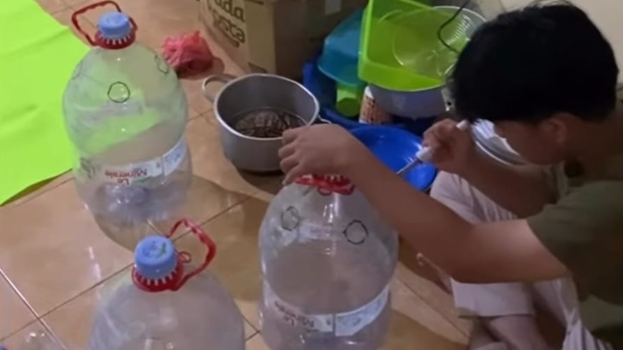 WhatsApp Image 2026-01-25 at 09.33.34 (1)