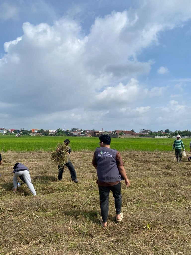 WhatsApp Image 2026-01-25 at 13.35.51