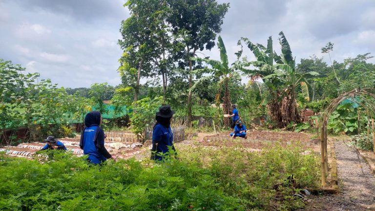 WhatsApp Image 2026-01-25 at 22.38.25