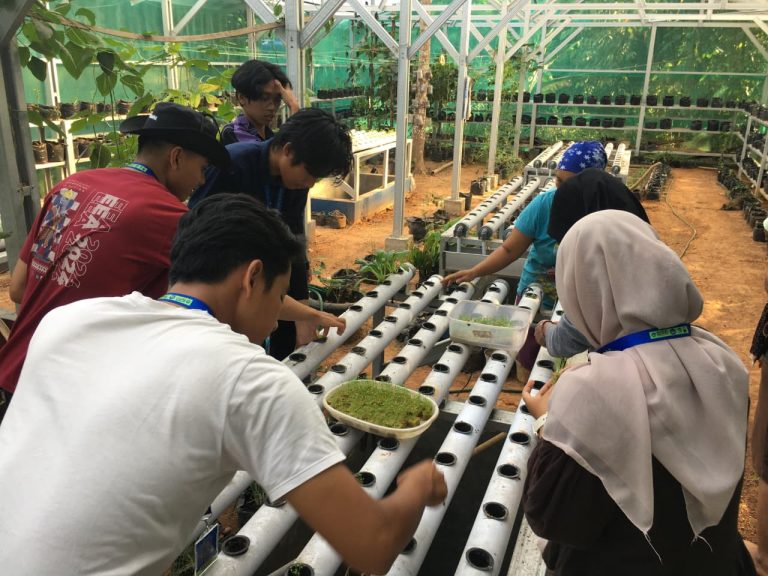 WhatsApp Image 2026-01-26 at 22.49.37