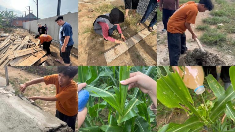 WhatsApp Image 2026-01-27 at 20.39.32