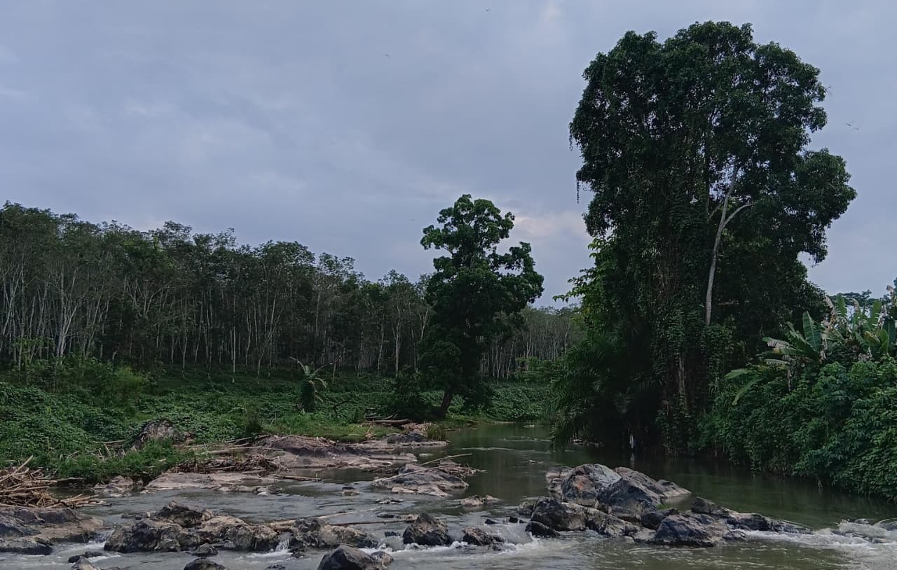 WhatsApp Image 2026-01-28 at 13.11.39