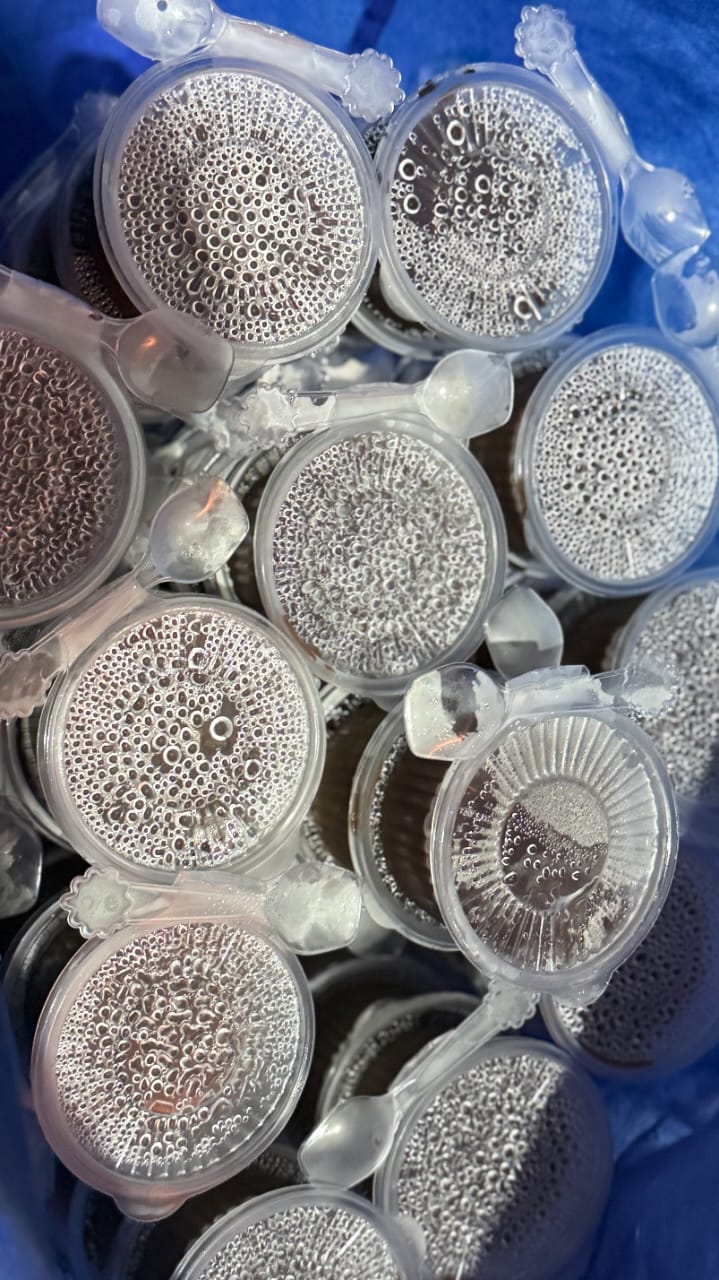 WhatsApp Image 2026-01-28 at 13.43.45 (1)