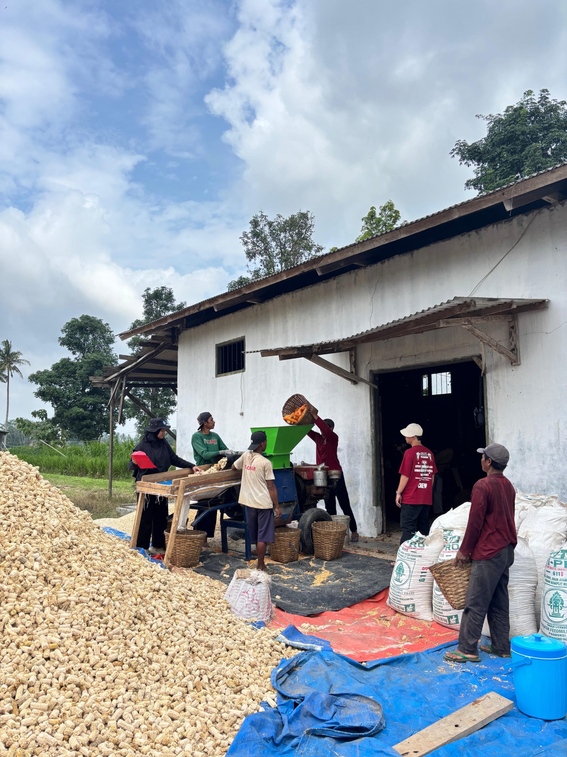 WhatsApp Image 2026-01-28 at 23.39.54 (1)