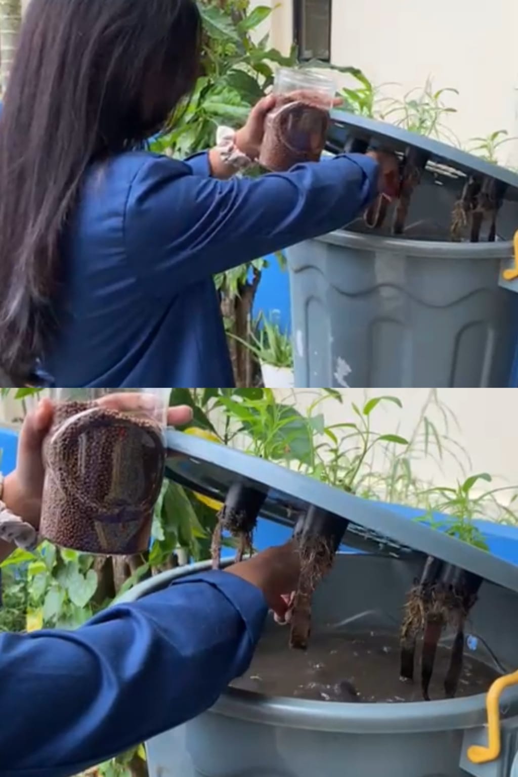 WhatsApp Image 2026-01-29 at 08.53.56 (1)