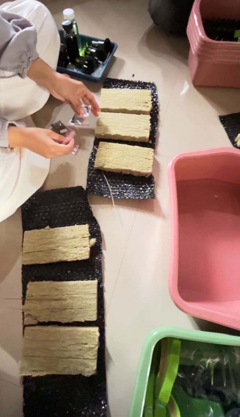 WhatsApp Image 2026-01-29 at 09.14.04