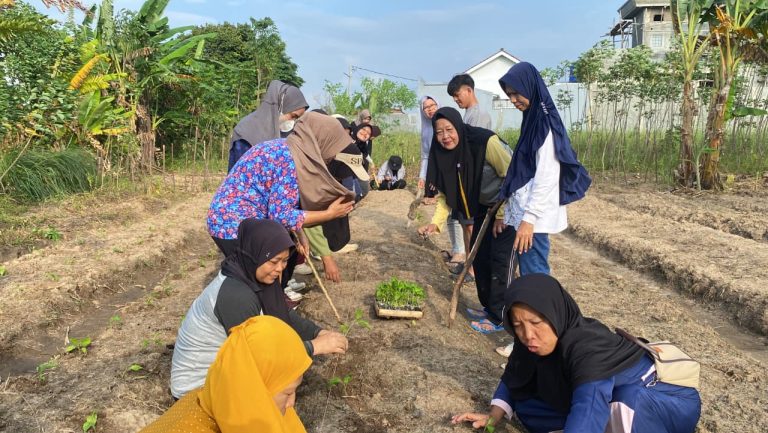 WhatsApp Image 2026-01-29 at 10.43.02