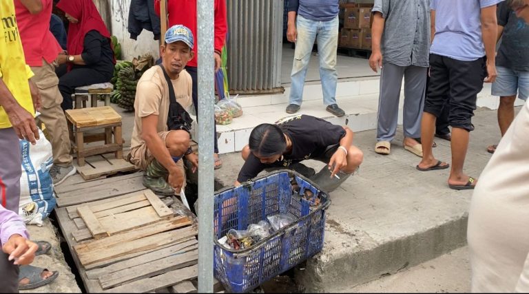 WhatsApp Image 2026-01-29 at 15.10.02 (2)