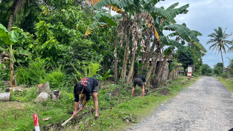 WhatsApp Image 2026-01-30 at 02.14.20