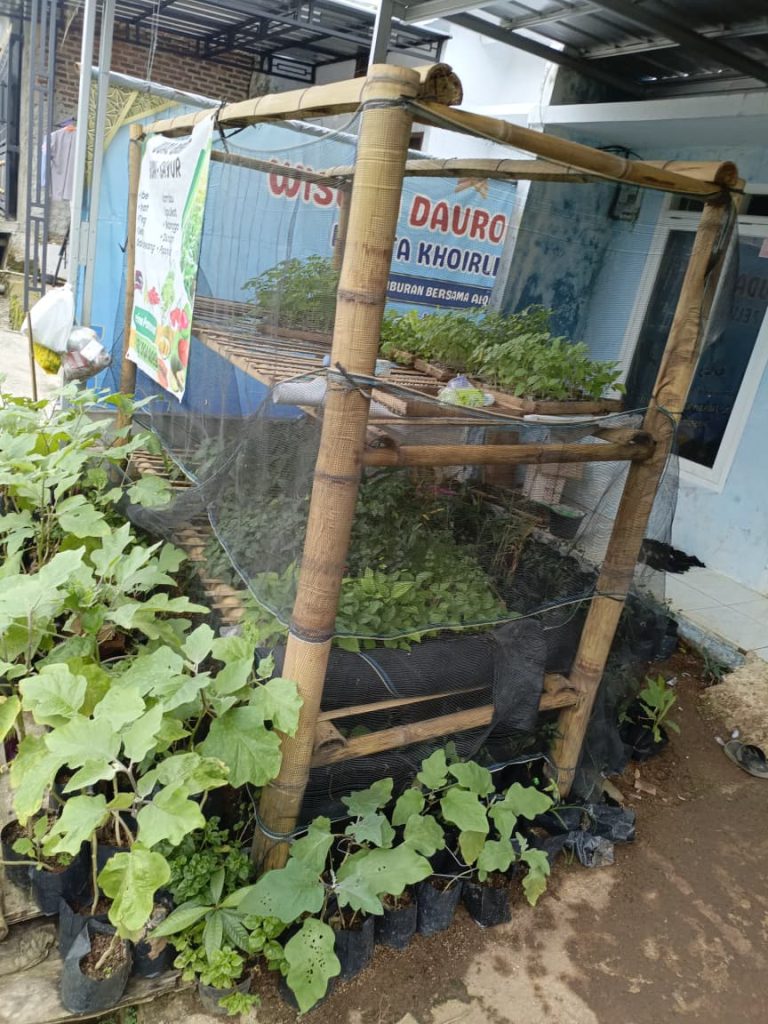 WhatsApp Image 2026-01-30 at 12.07.30 (1)