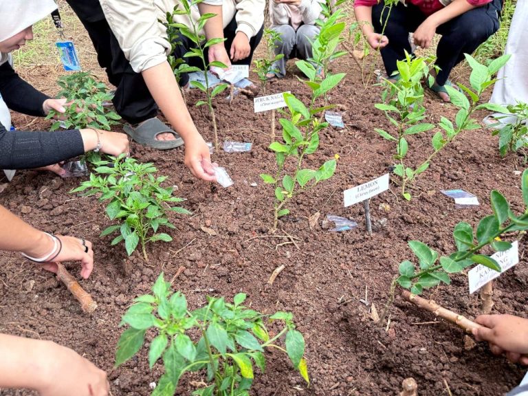 WhatsApp Image 2026-01-30 at 21.37.55 (1)