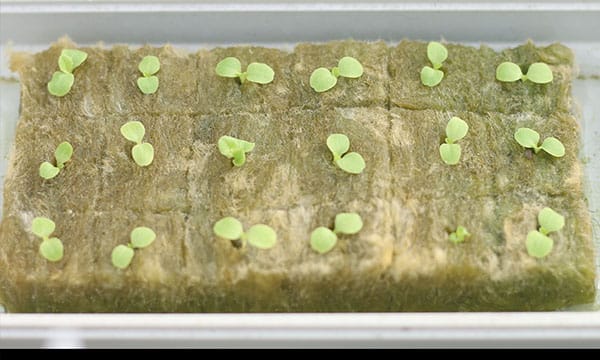 WhatsApp Image 2026-01-30 at 22.07.34