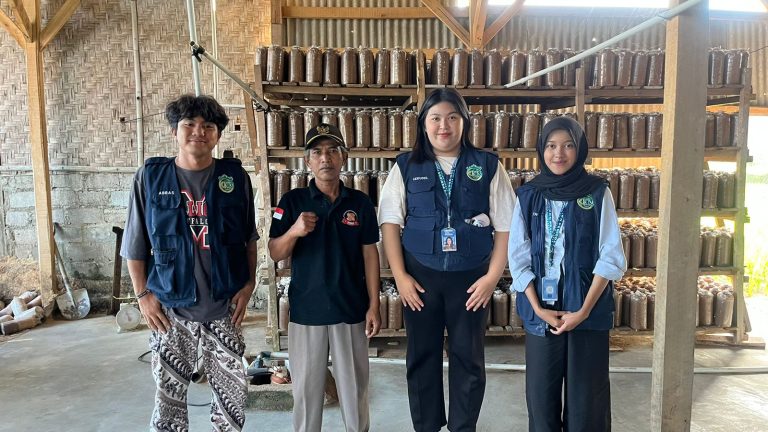 WhatsApp Image 2026-01-31 at 00.45.19