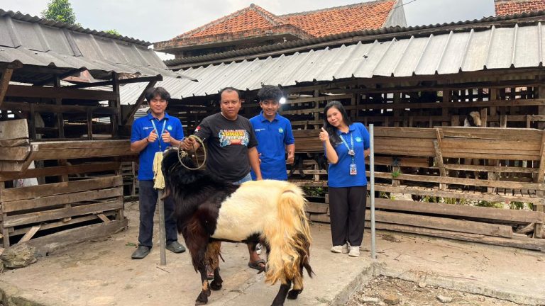 WhatsApp Image 2026-01-31 at 00.52.52