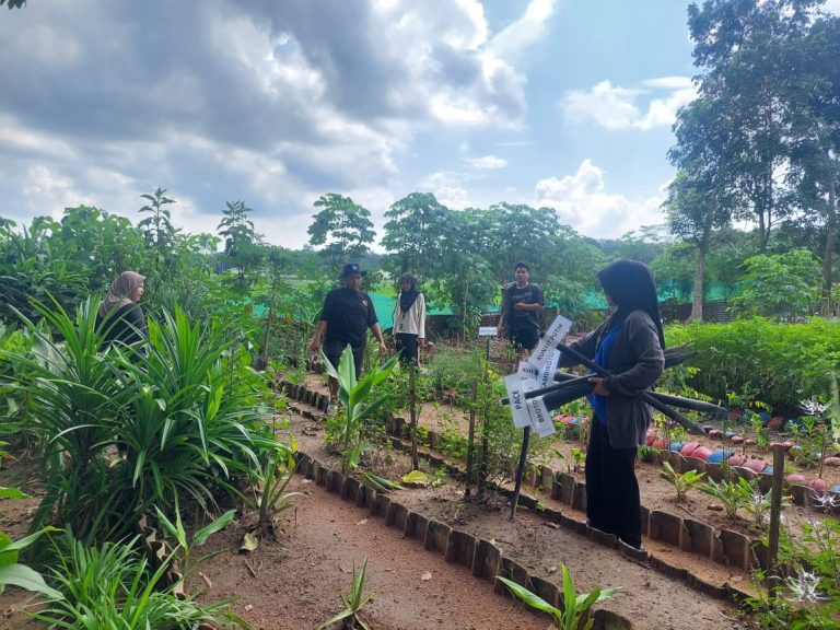 WhatsApp Image 2026-01-31 at 09.27.30