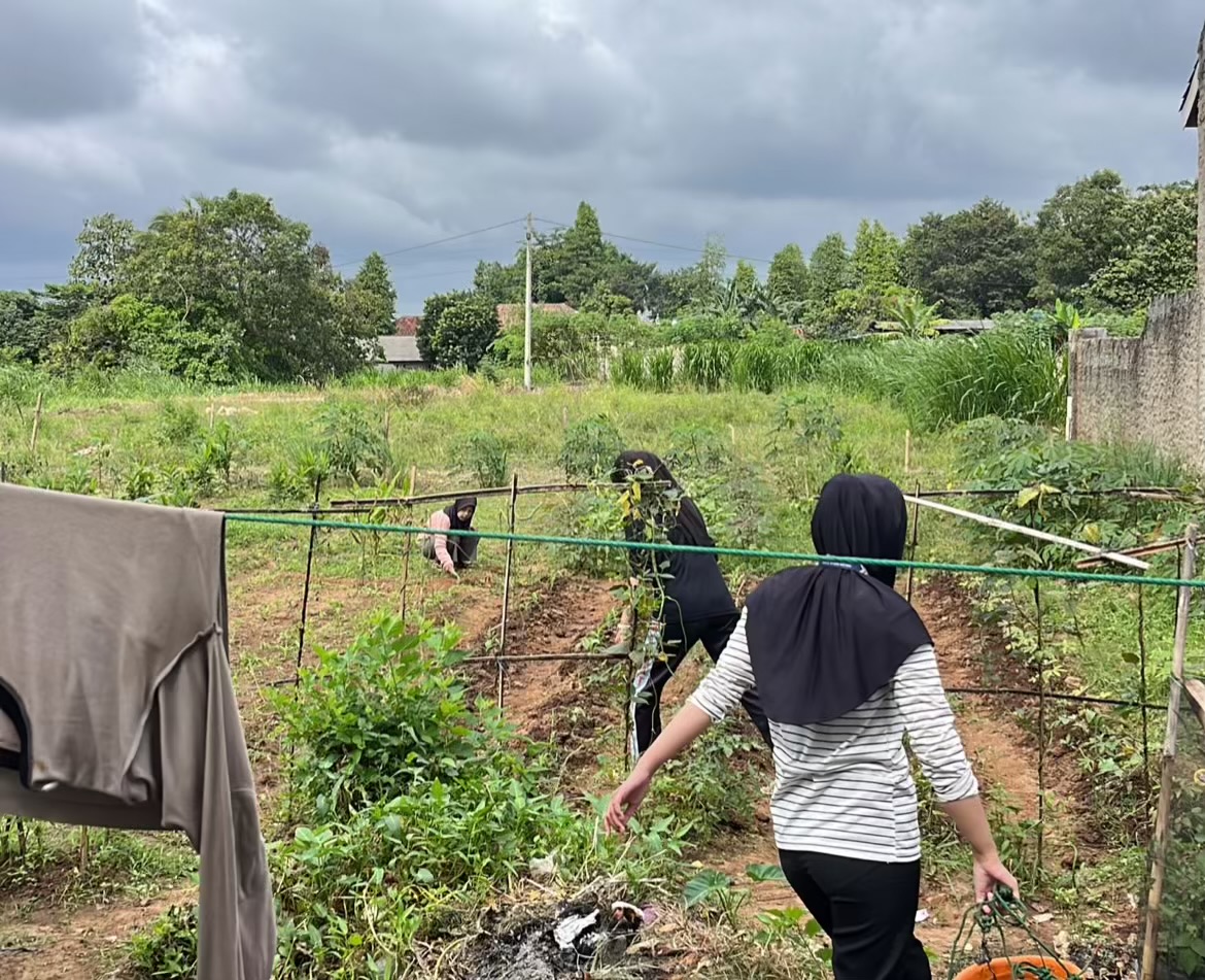 b5909da6-3009-409f-ae02-0df452fee2b1-compressed