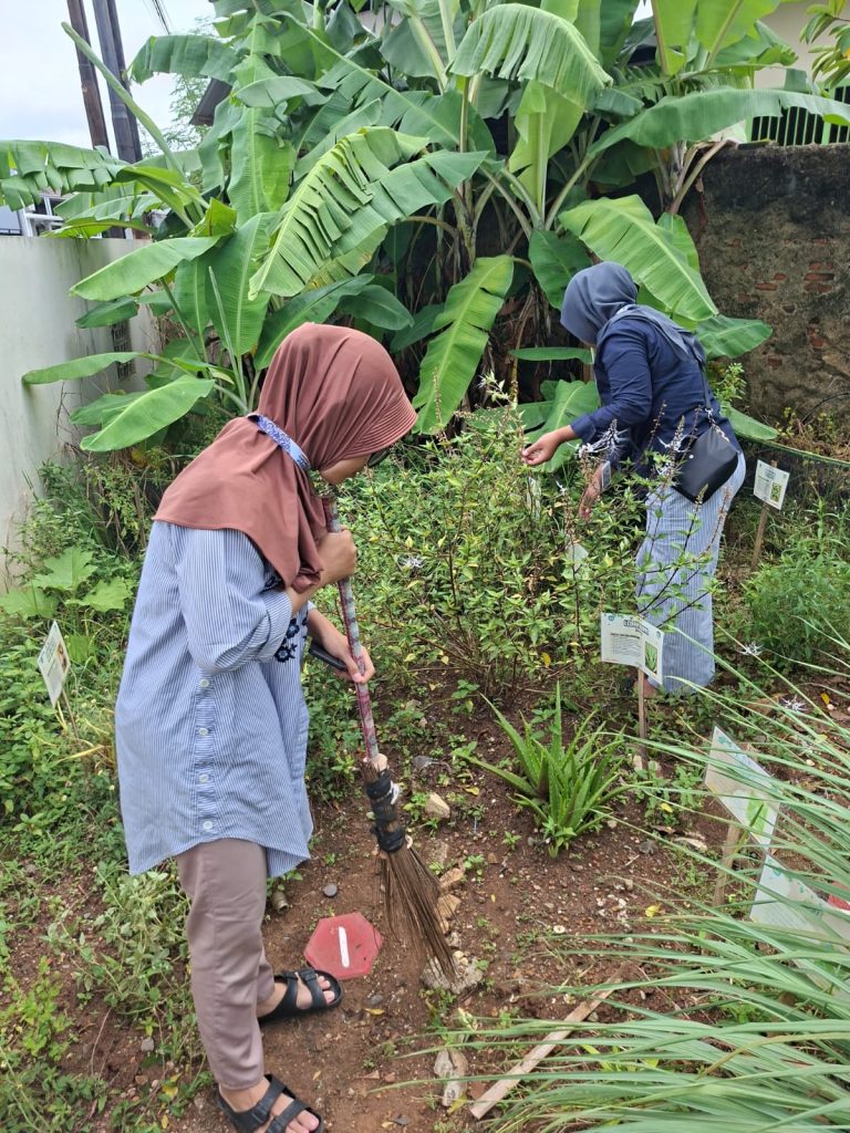 bebersih TOGA (270126) cover