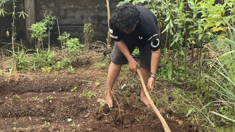 c178a4e9-c711-45f8-9740-b9bd5bb85001