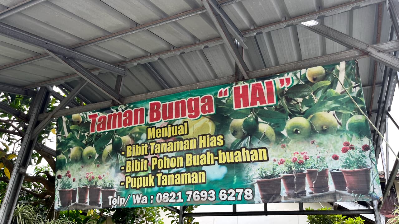 cari tanaman POTAS (260126) cover