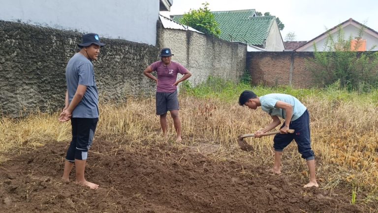 d97d3bd0-63db-4540-8ce6-d627f193493f