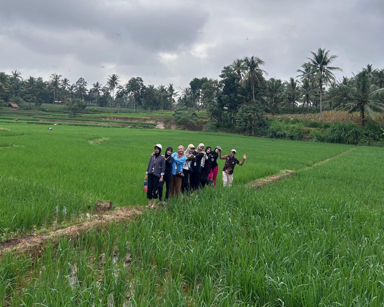 fotbar di sawah
