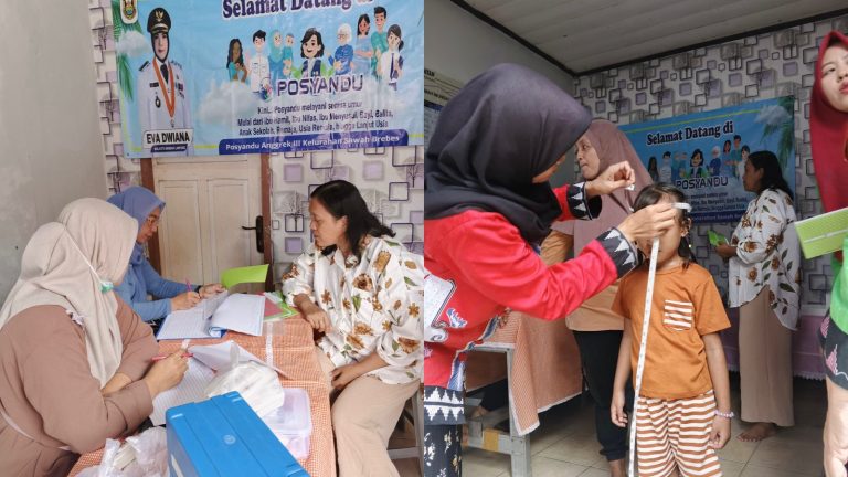 kkn posyandu laagiii