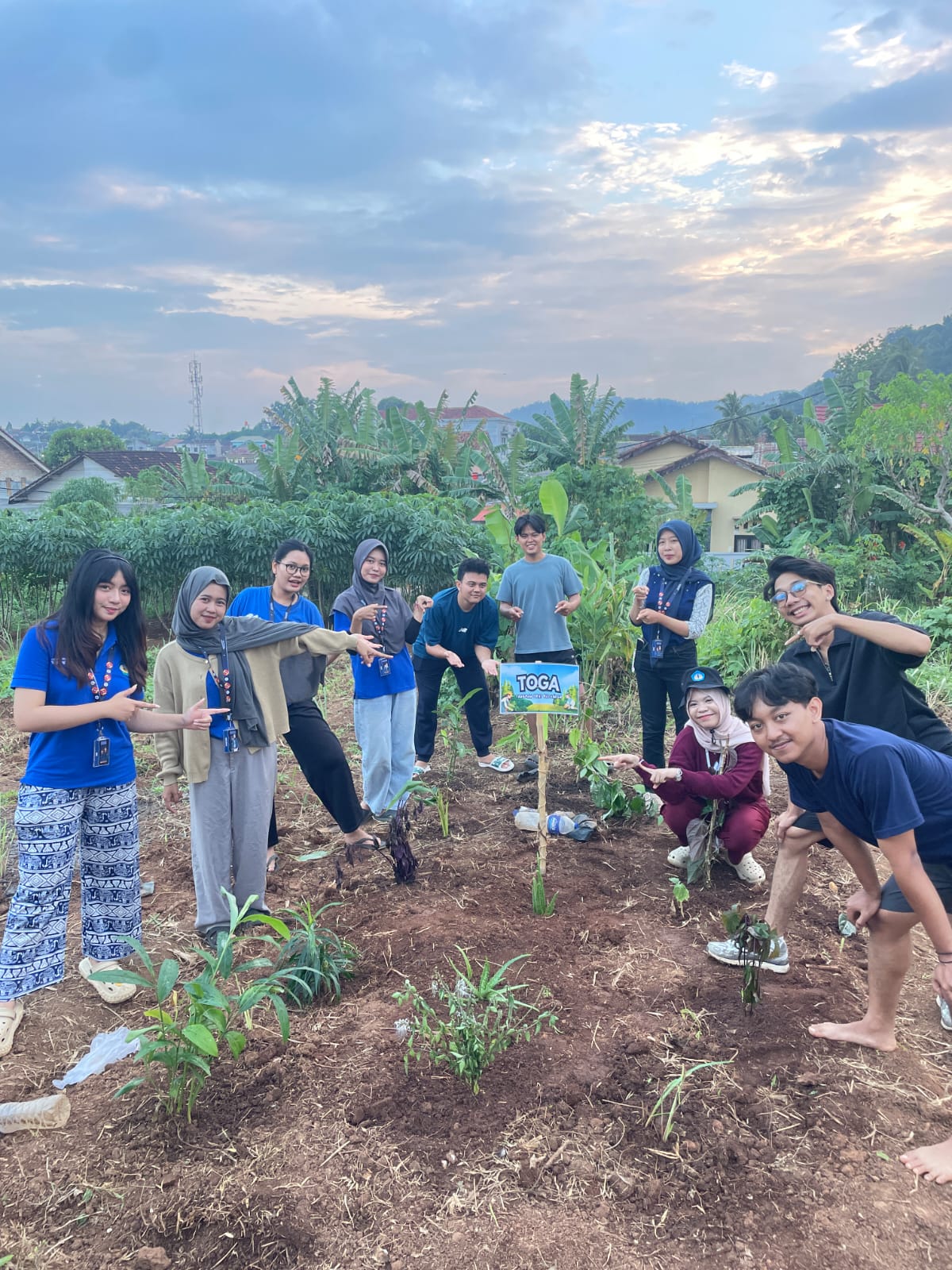 penanaman toga 28 januari 2026