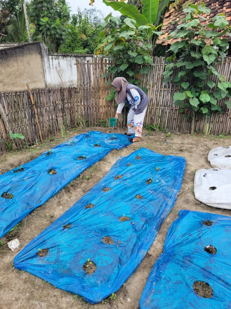 penyriaman dan perawatan