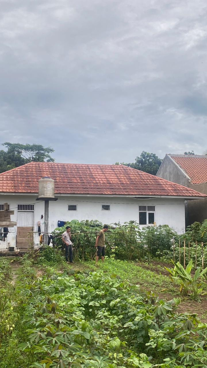 1acad533-6ca7-4092-869c-c57453dda553