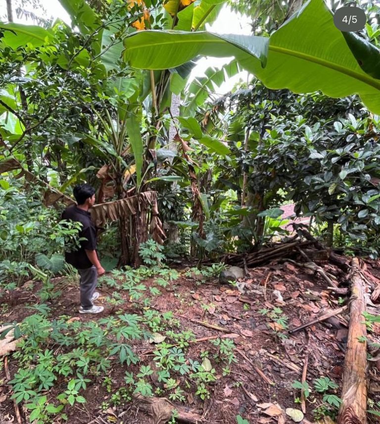 25-01-26 Survei Longsor