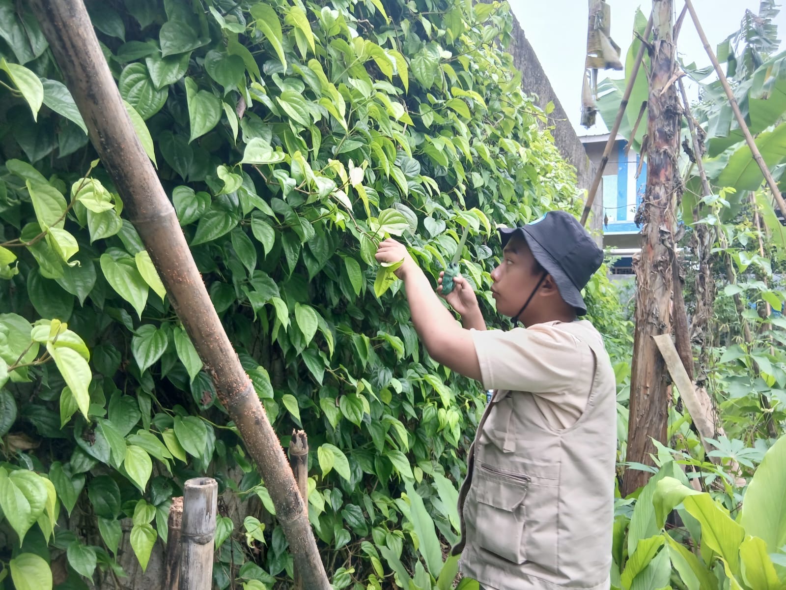 9c2027dd-1c98-45c5-86e8-06fbcd16e595