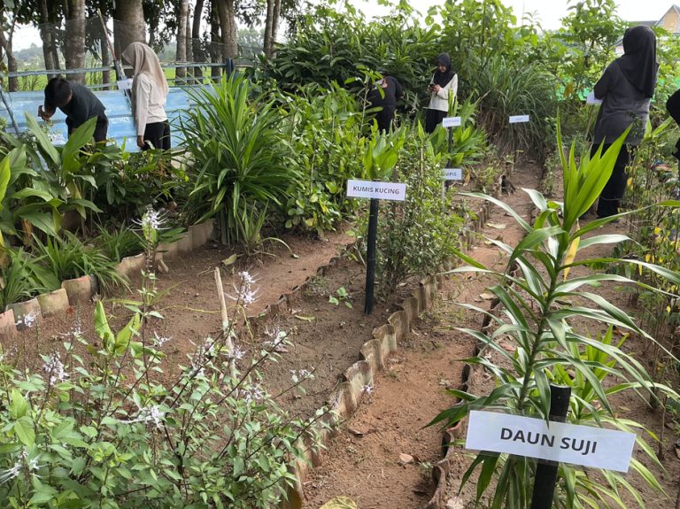 Screenshot 2026-02-01 134228