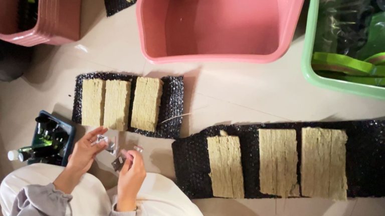 TEMPLATE BERITA ACARA (9)