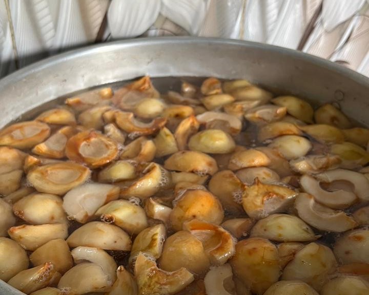 WhatsApp Image 2026-01-27 at 23.23.24