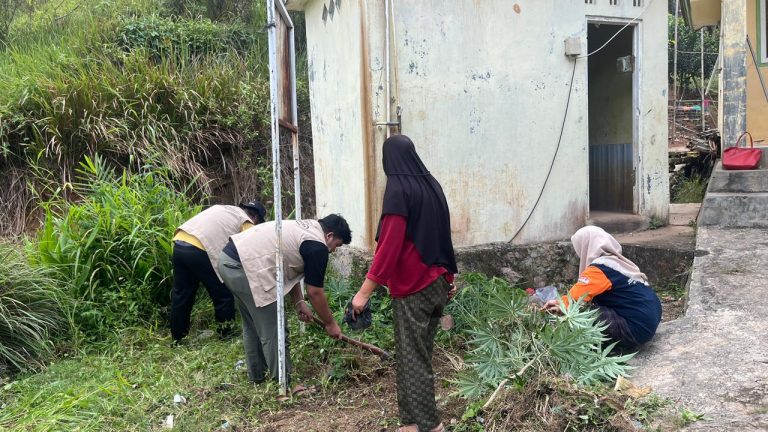 WhatsApp Image 2026-01-28 at 20.43.57