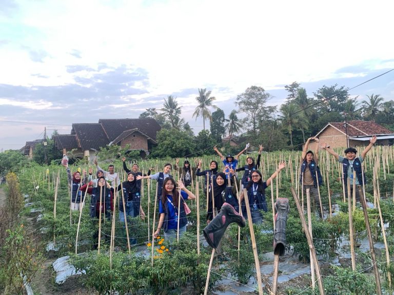 WhatsApp Image 2026-01-30 at 19.18.37