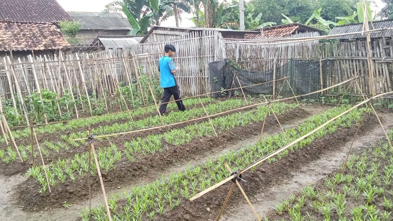 WhatsApp Image 2026-01-31 at 02.14.41