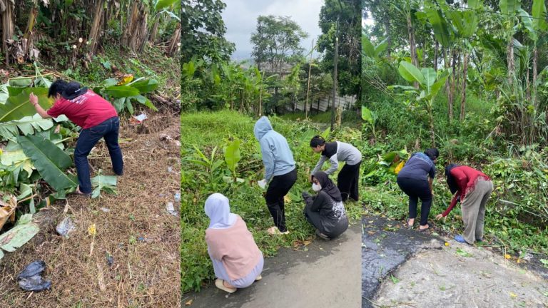 WhatsApp Image 2026-01-31 at 18.34.54