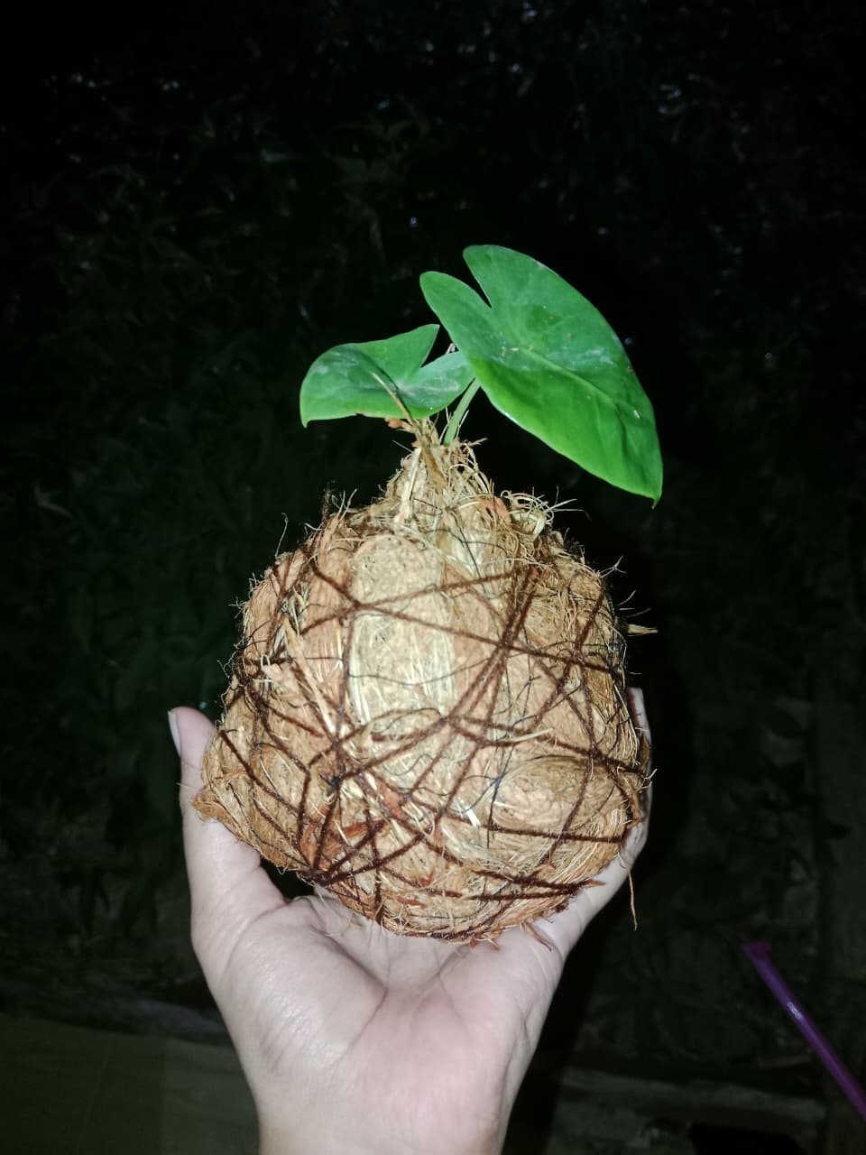 WhatsApp Image 2026-01-31 at 20.41.43 (1)