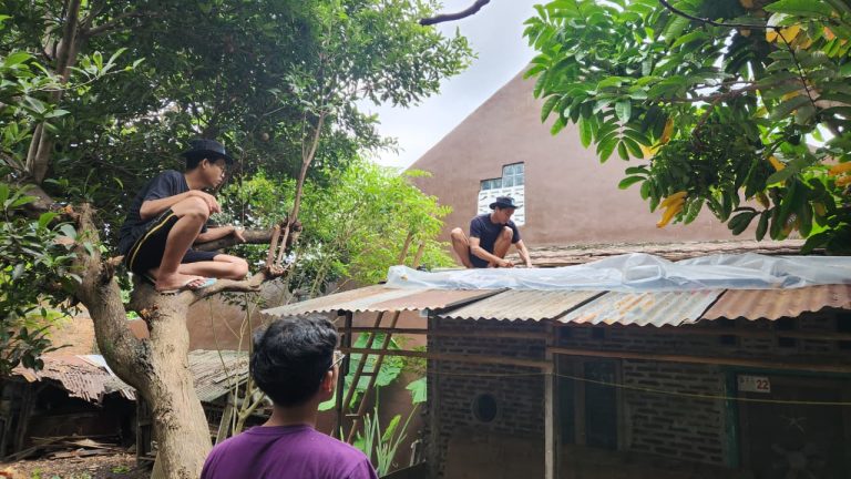 WhatsApp Image 2026-01-31 at 22.21.28