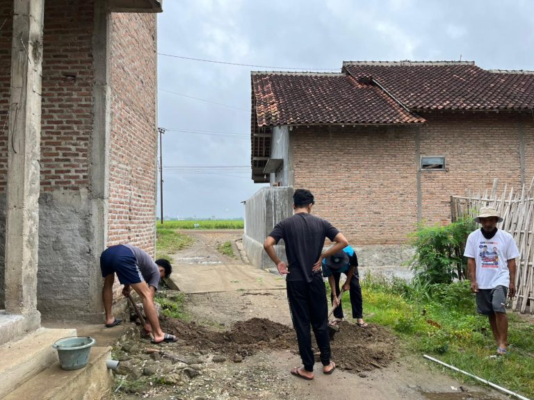 WhatsApp Image 2026-01-31 at 22.31.13