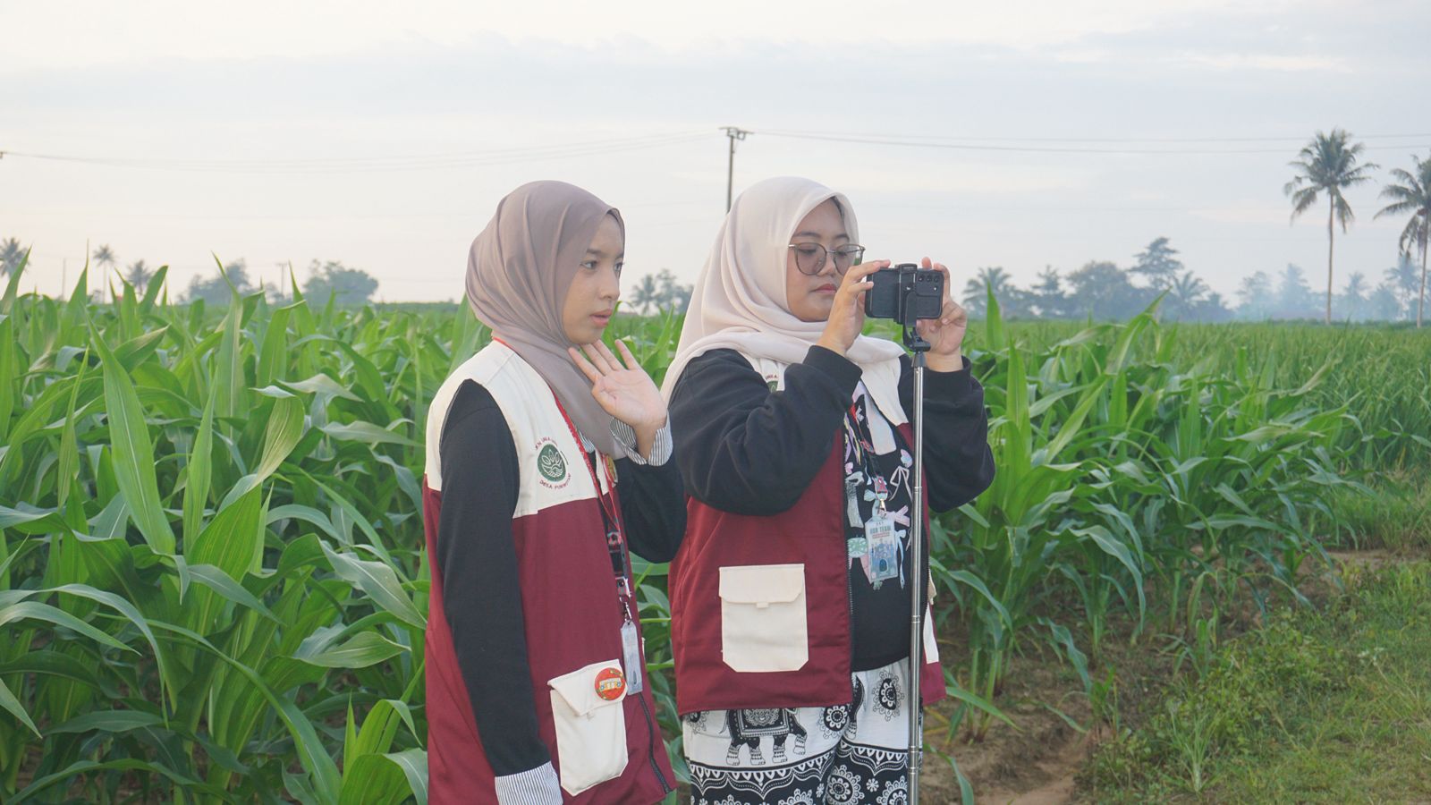 WhatsApp Image 2026-02-01 at 14.16.03