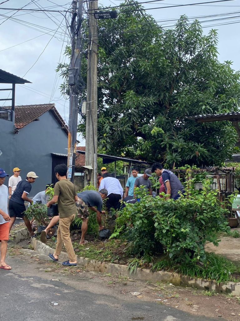 WhatsApp Image 2026-02-01 at 16.44.25