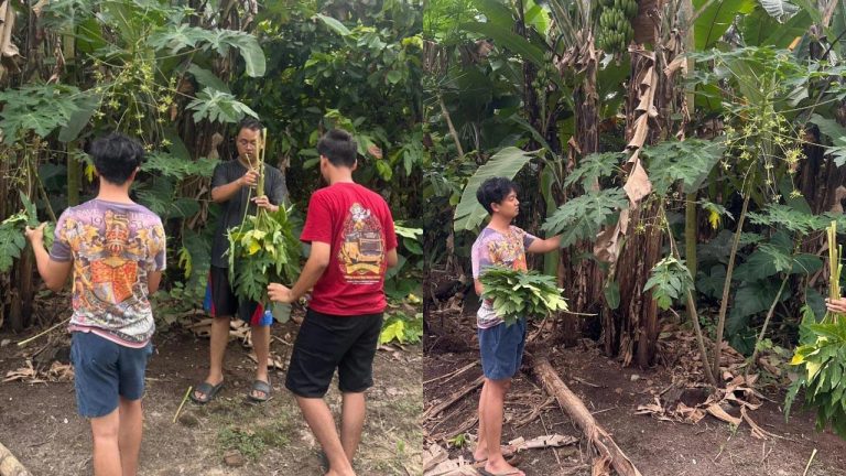 WhatsApp Image 2026-02-01 at 21.57.02