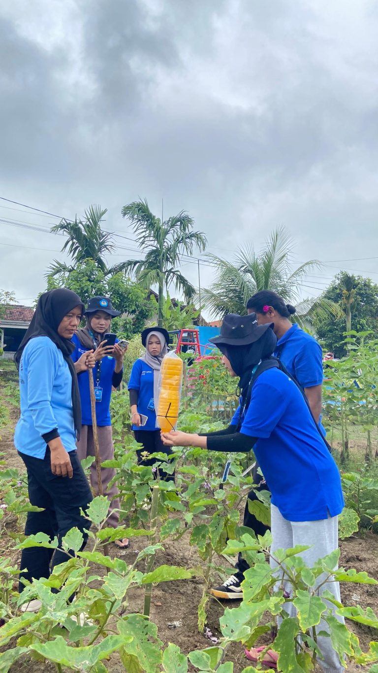 WhatsApp Image 2026-02-02 at 12.36.12