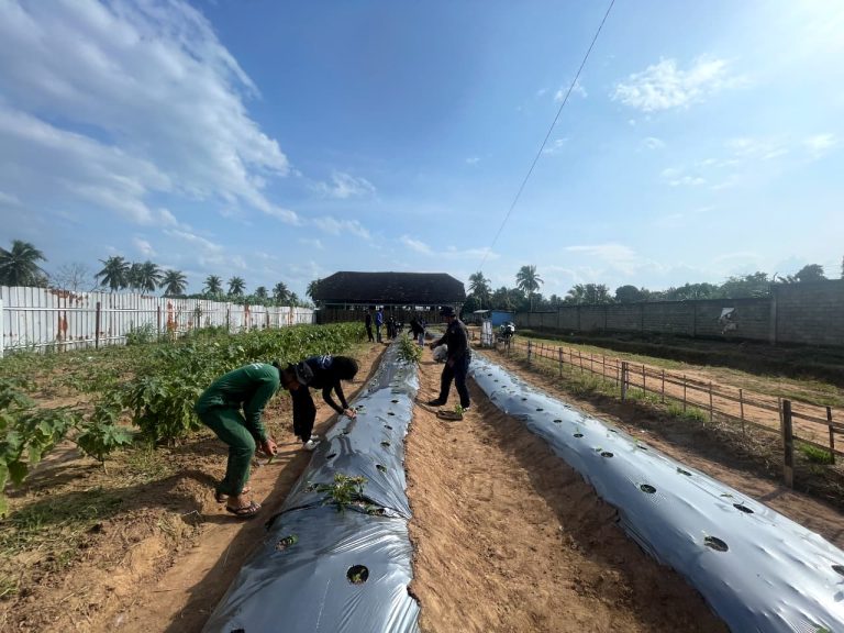 WhatsApp Image 2026-02-02 at 21.17.05